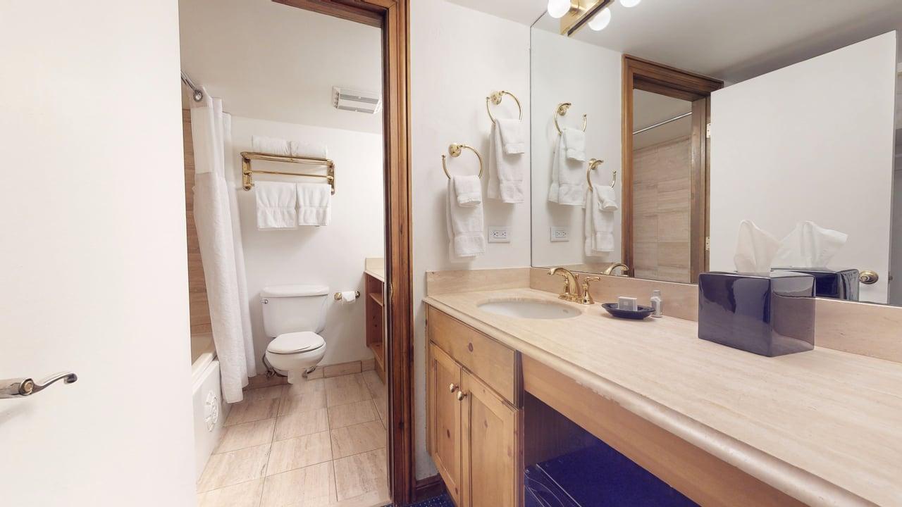 Bathroom and Vanity