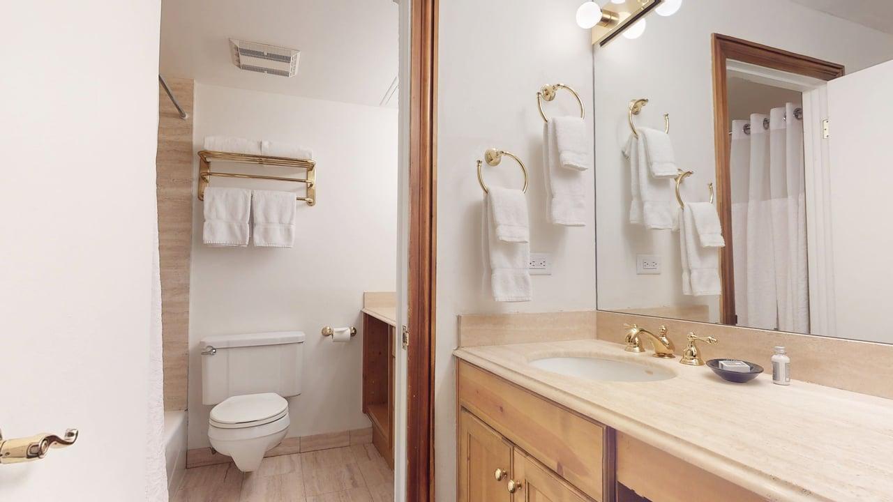 Bathroom and Vanity