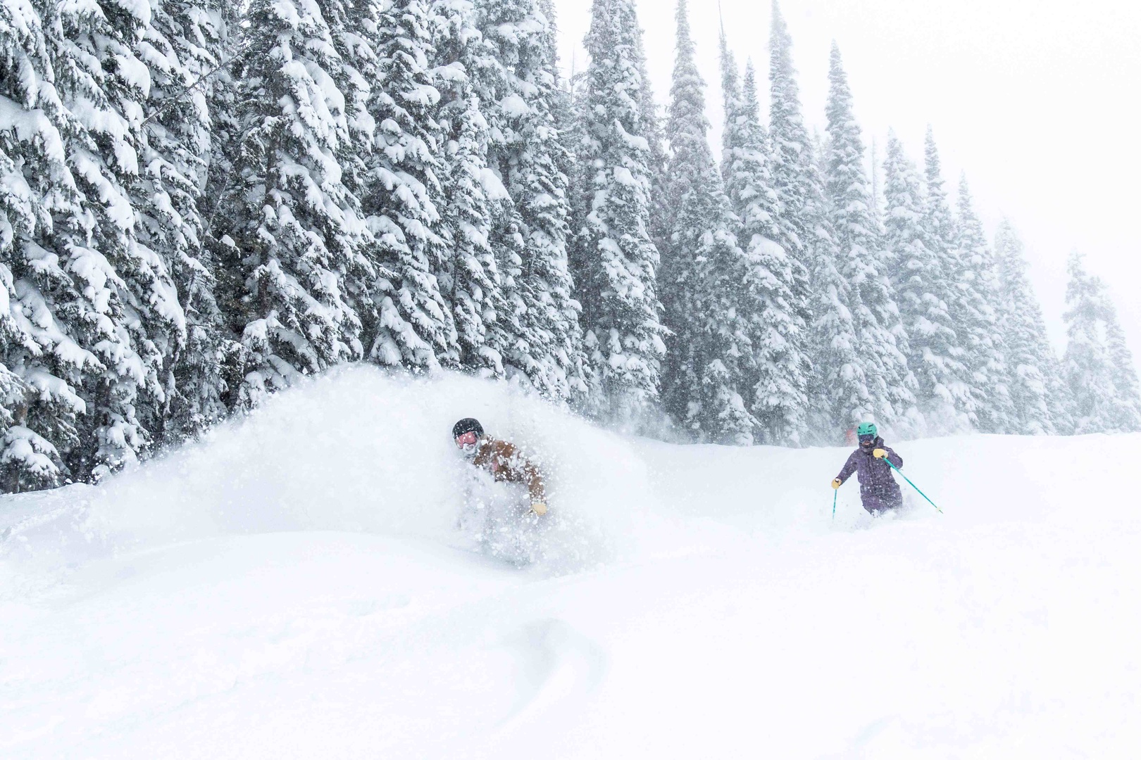 Powder Day Skiers