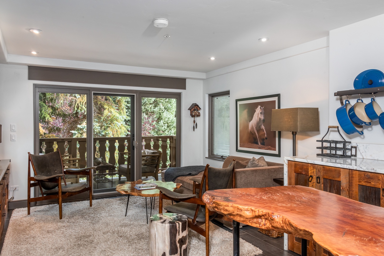 Living Room Area