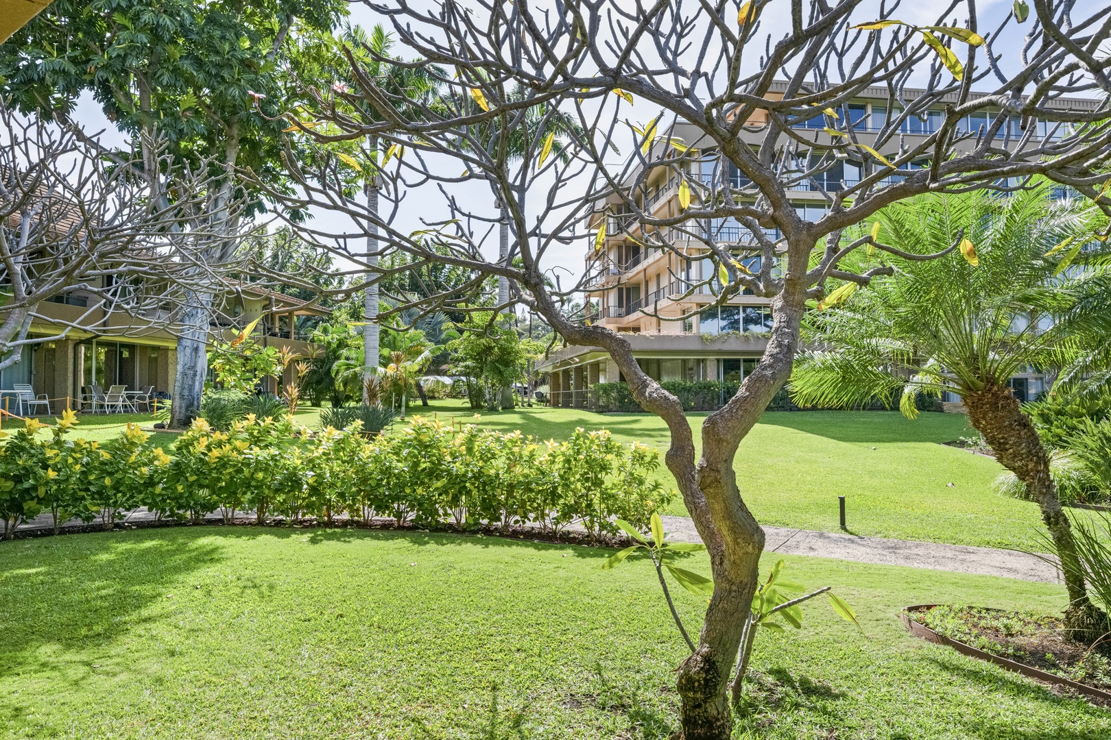 A peaceful resort setting featuring well-maintained grounds with mature tropical trees, manicured lawns, and lush gardens surrounding the property building.
