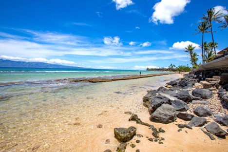 Pristine tropical beach with crystal-clear waters, swaying palm trees, and rocky coastline under brilliant blue skies.