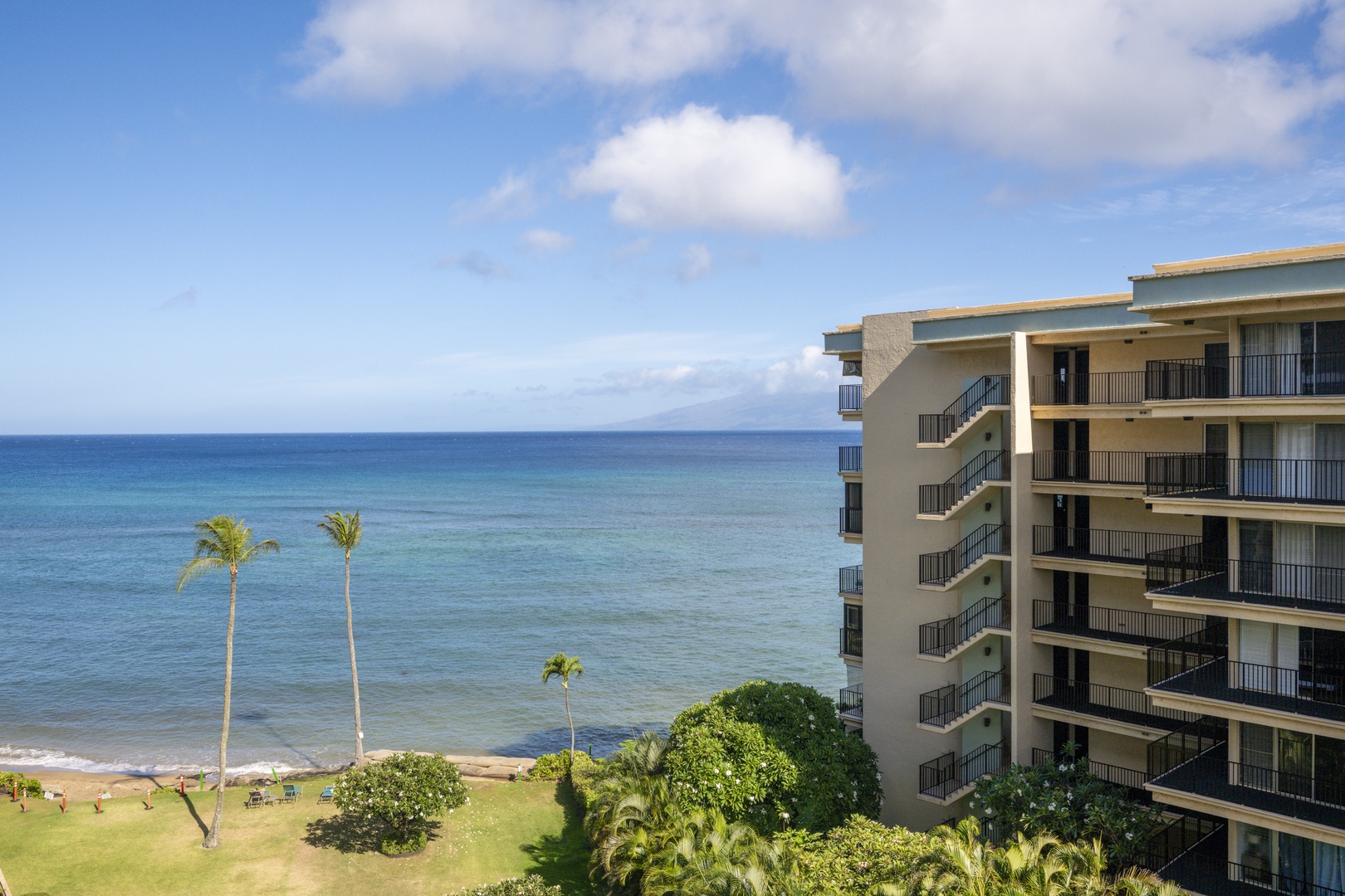 RoyalKahana701-29