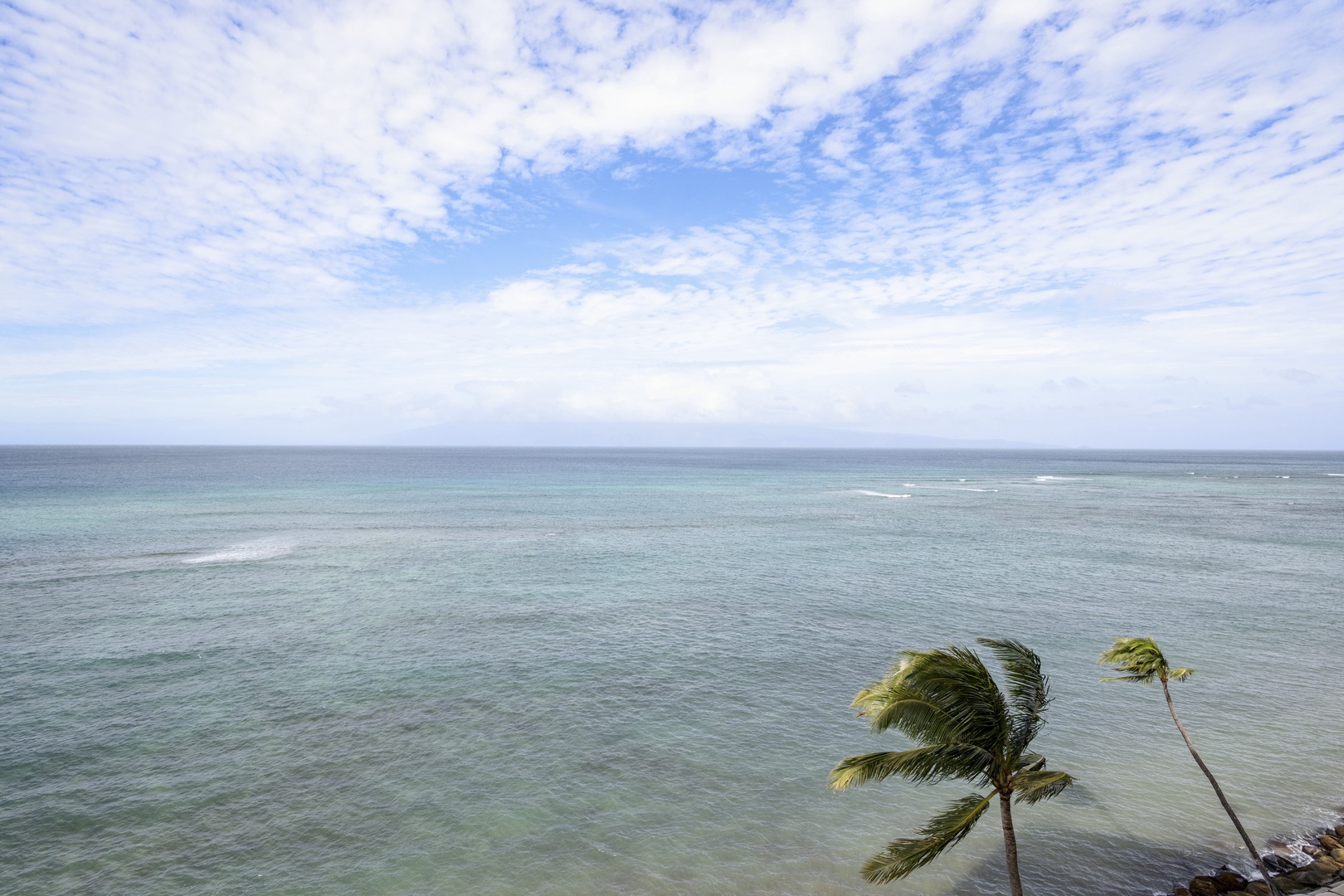 Endless ocean views stretch toward the horizon beneath dramatic cloudy skies, with tropical palm trees swaying in the coastal breeze.