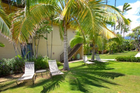 Relax beneath swaying palms on manicured lawns, where tropical breezes and dappled shade create your perfect outdoor sanctuary.