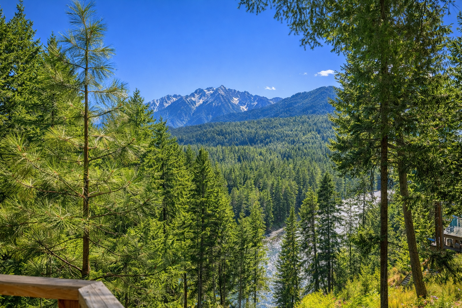 Das Tree Haus | Big Views | Stargazing | Expansive deck | Hot tub