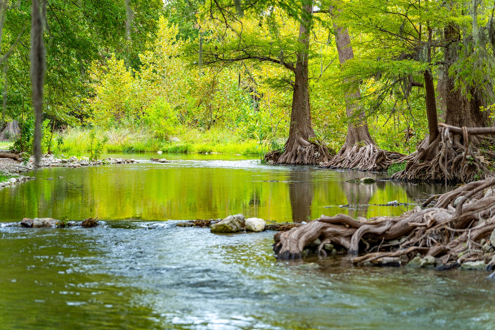 Life is Gruene Riverside Retreat