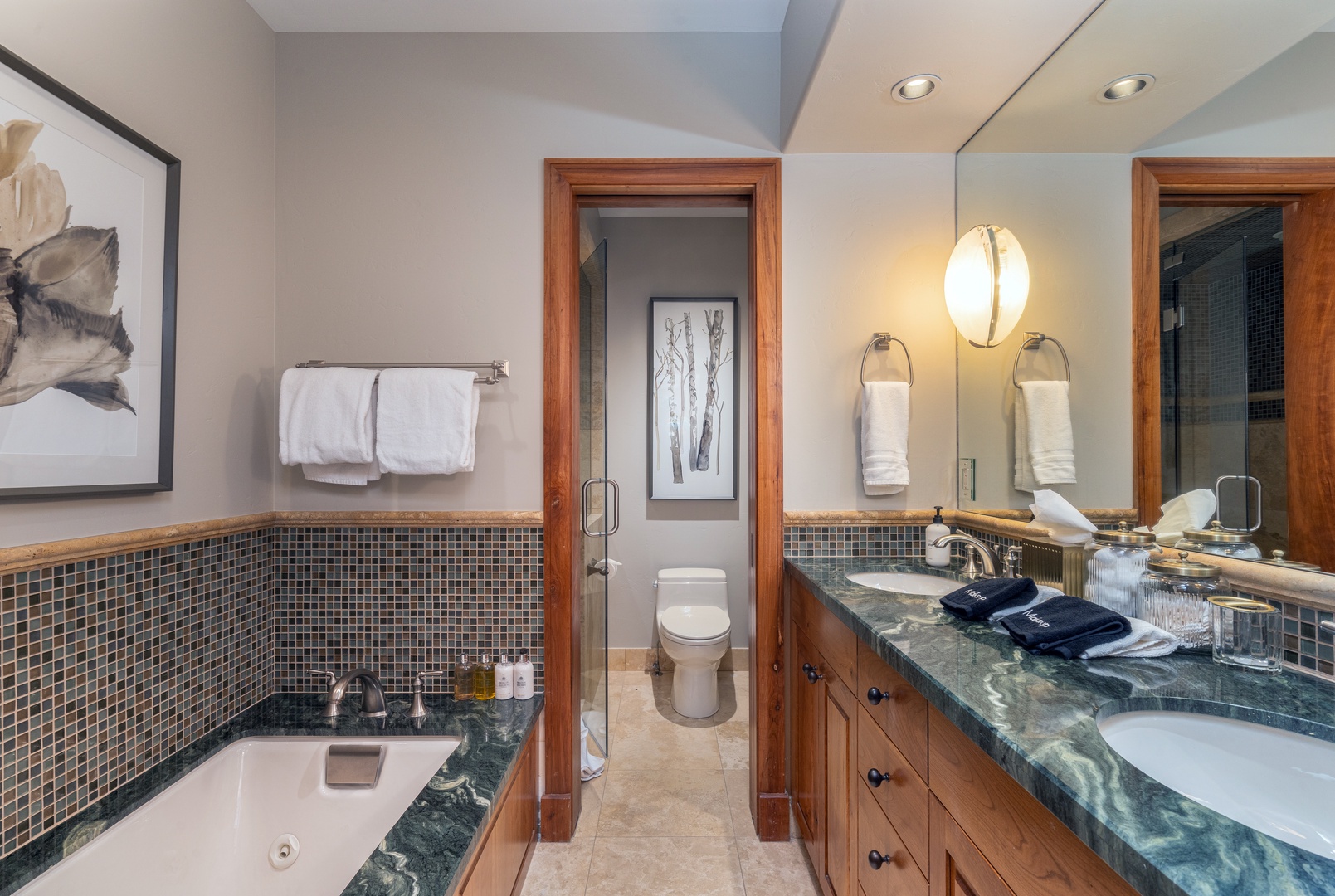 Guest Bathroom 3 - jetted tub and steam shower