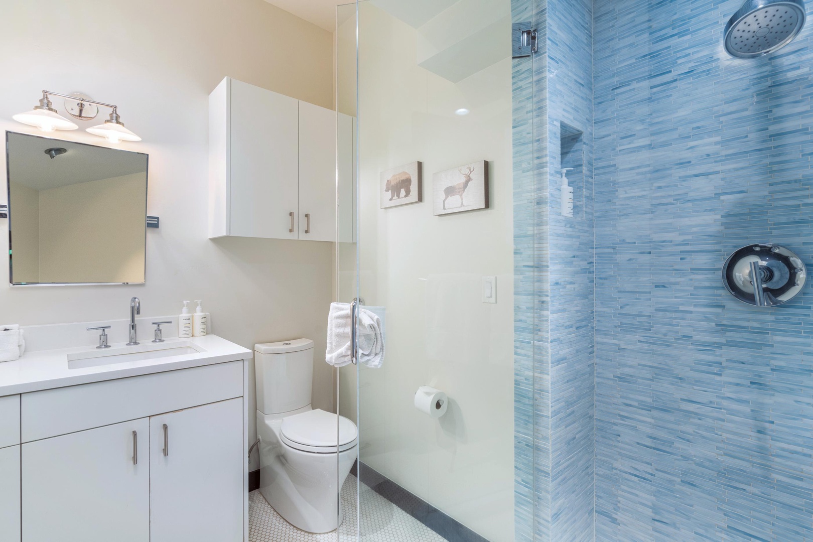 Shared bathroom - lower level