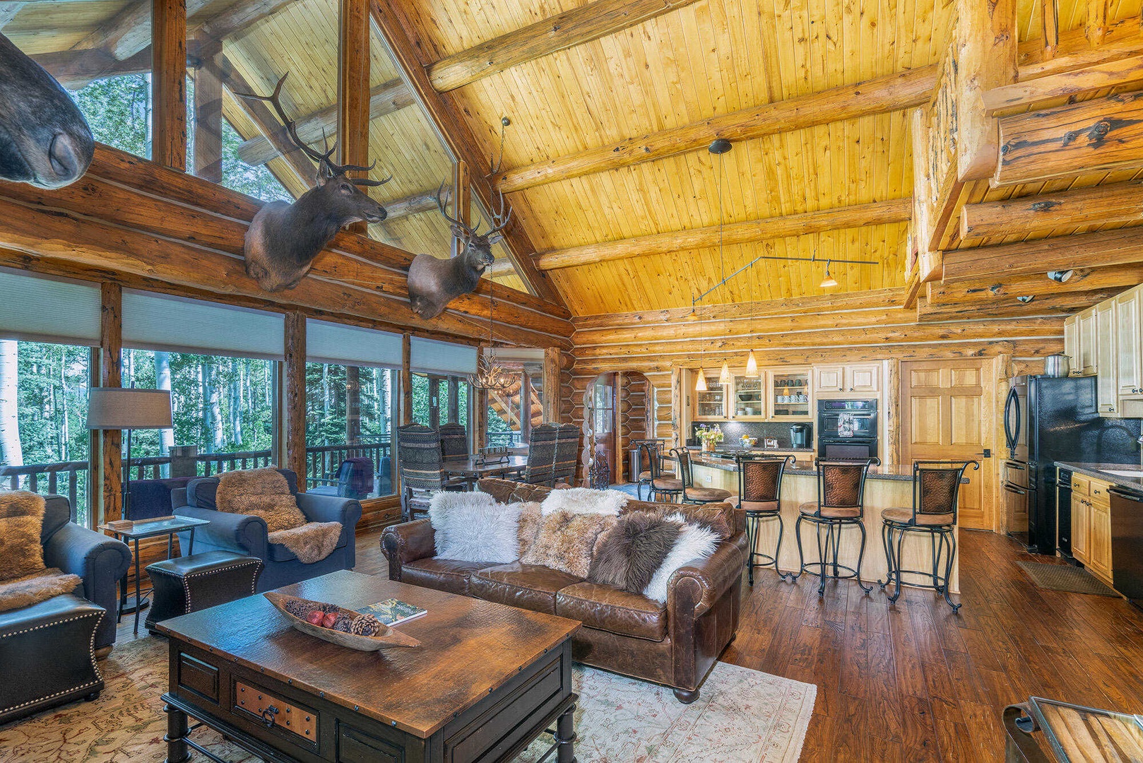 Living Room - Vaulted ceilings and open concept living area