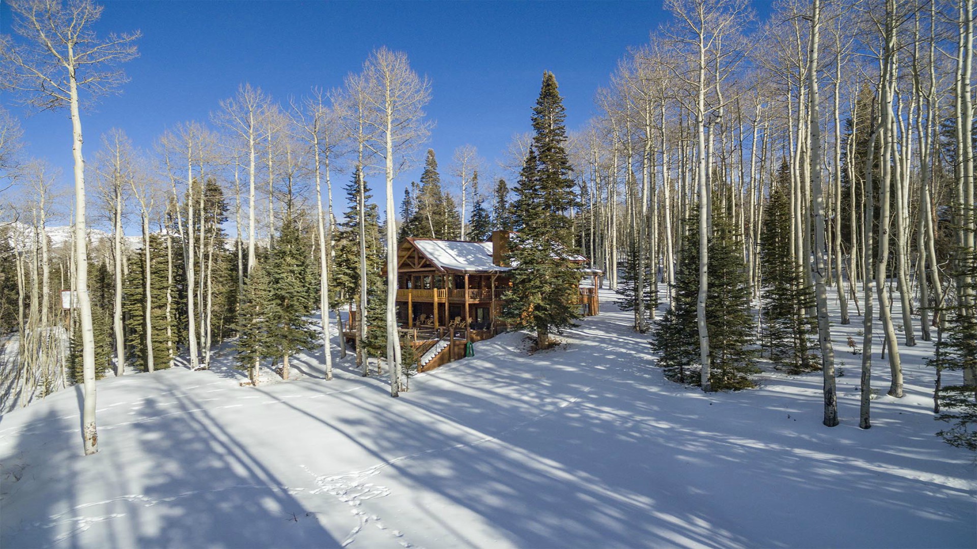 Exterior - Elevated mountain living surrounded by a beautiful aspen grove, designed for guests who value both comfort and connection to nature