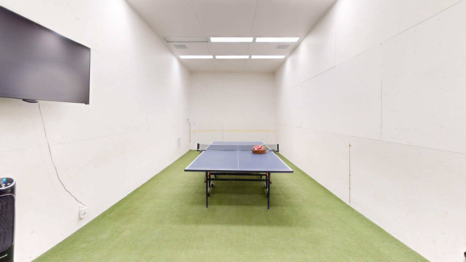 Sport Court Area - Lower Level - Ping pong table