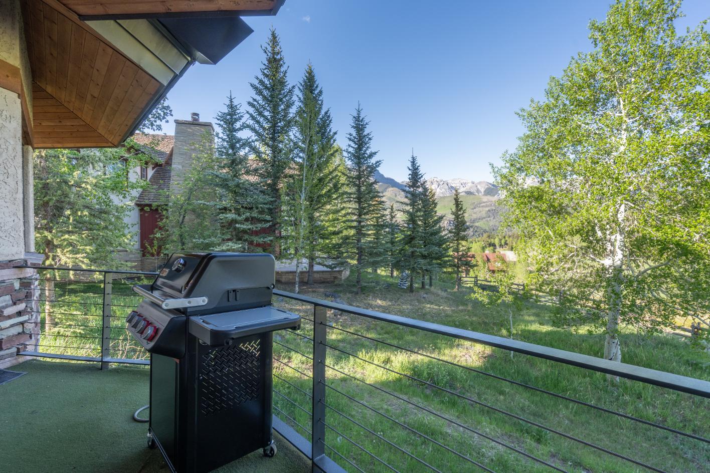 Deck - New Weber Grill