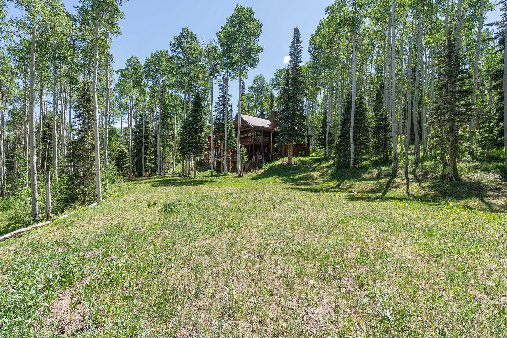 Backyard - Tons of room to play