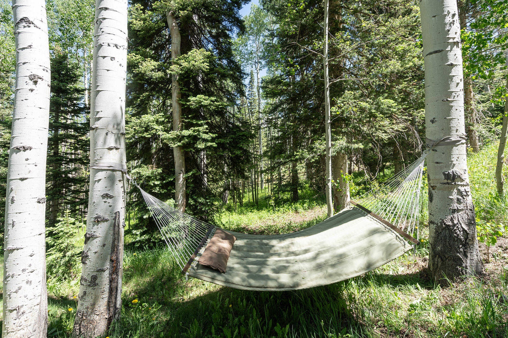 Backyard - Hammock for relaxing during the summer