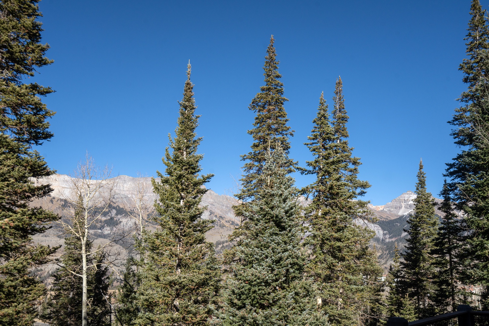 Gold Hill Court - The Outdoorsman - views and views