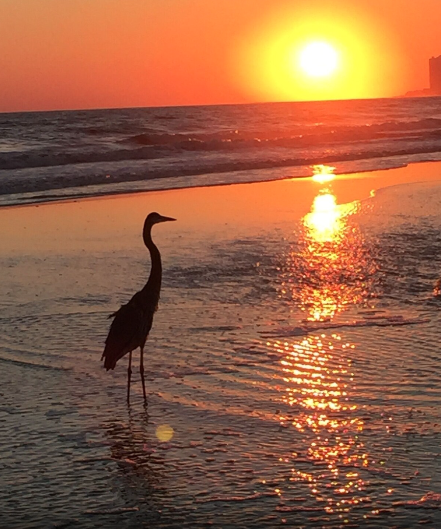 Sunset in Front of Admirals Quarters