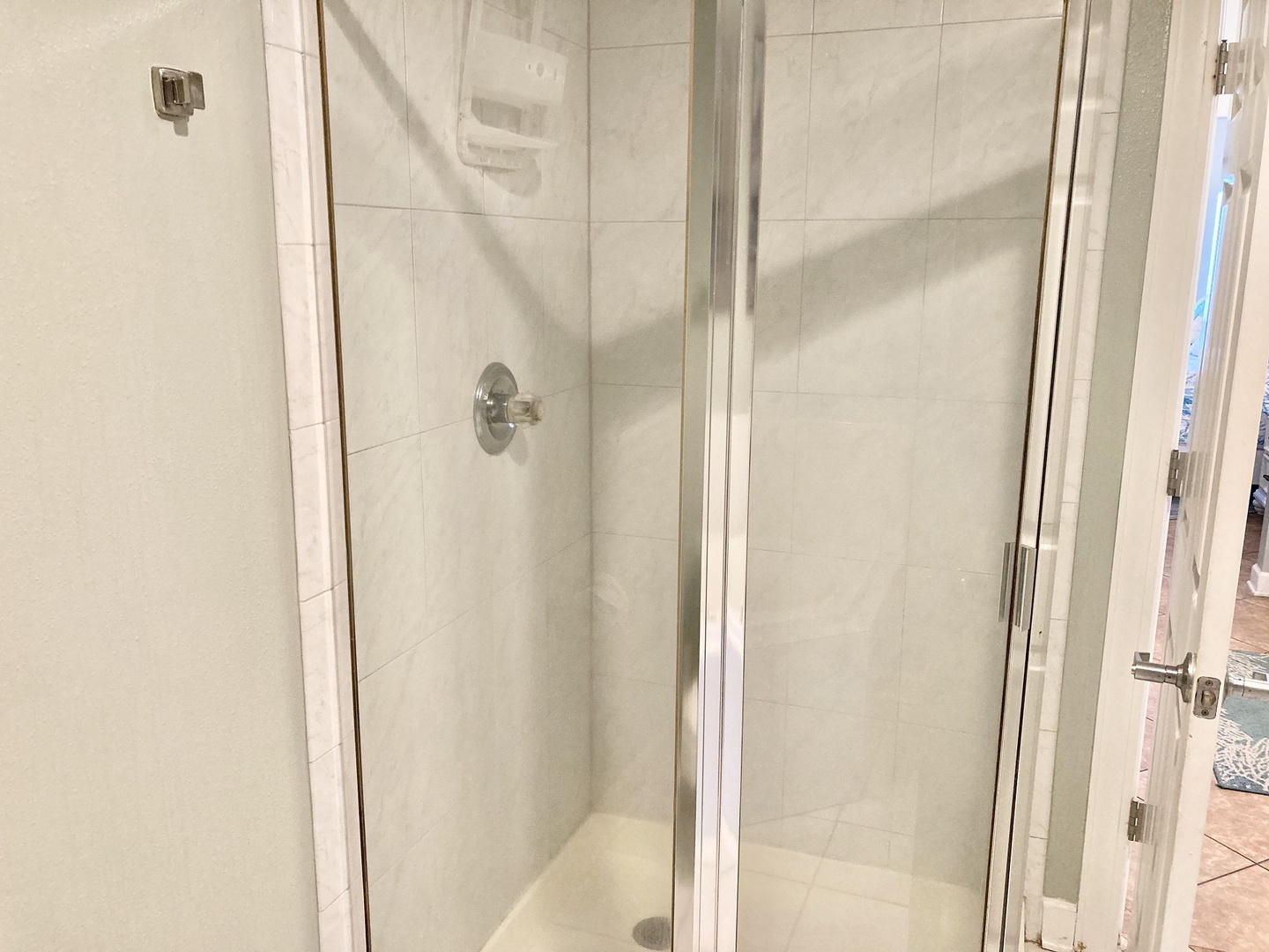Primary bathroom glass shower
