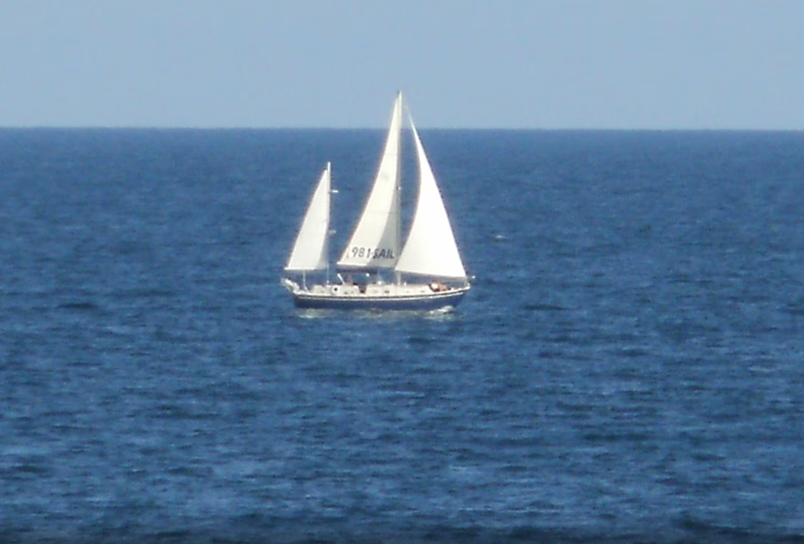 Sail Boat on the Gulf of Mexico