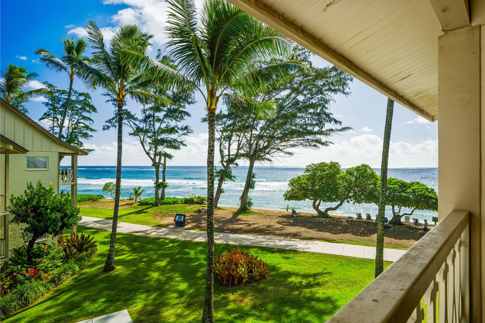 Islander on the Beach #361