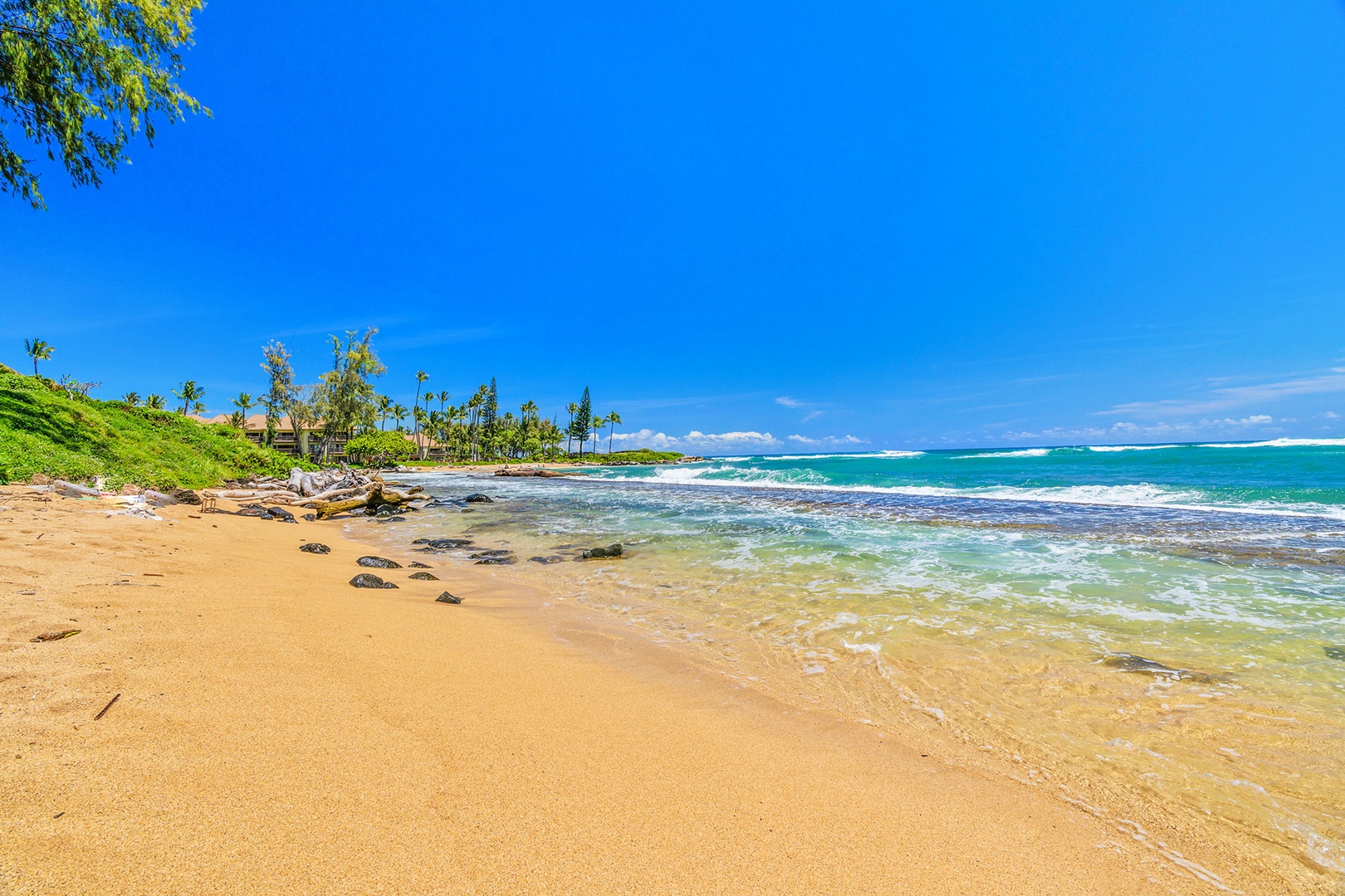 Pristine tropical beach with golden sand, crystal-clear turquoise waters, and lush palm-lined coastline under brilliant blue skies.