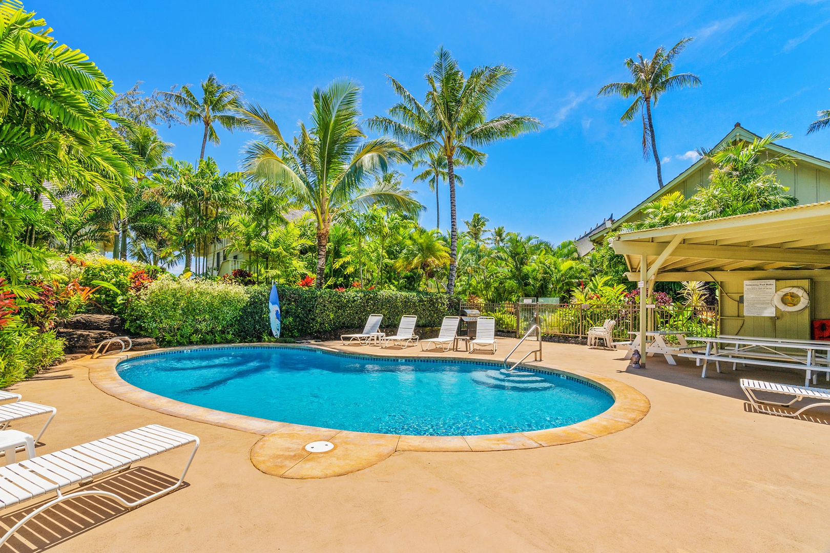 Tropical paradise swimming pool surrounded by lush palms and colorful landscaping under brilliant blue skies.