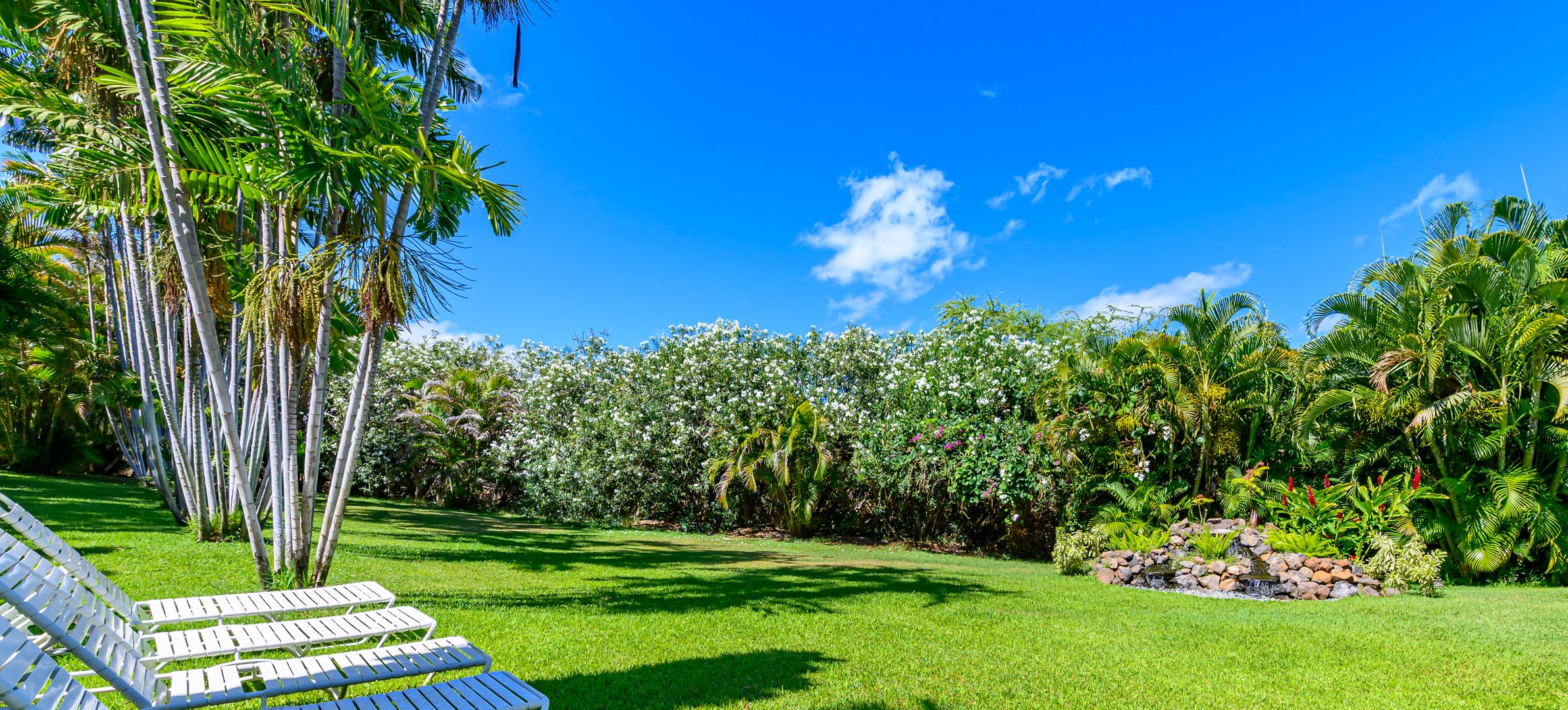 Castle at Maui banyan - Exterior Landscape