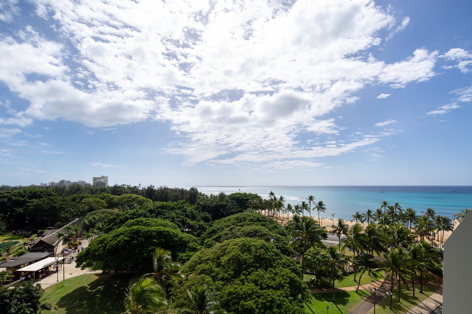 An elevated view showcasing the property's beachfront location, framed by lush tropical vegetation and palm trees, with the pristine shoreline and turquoise ocean extending toward the horizon.