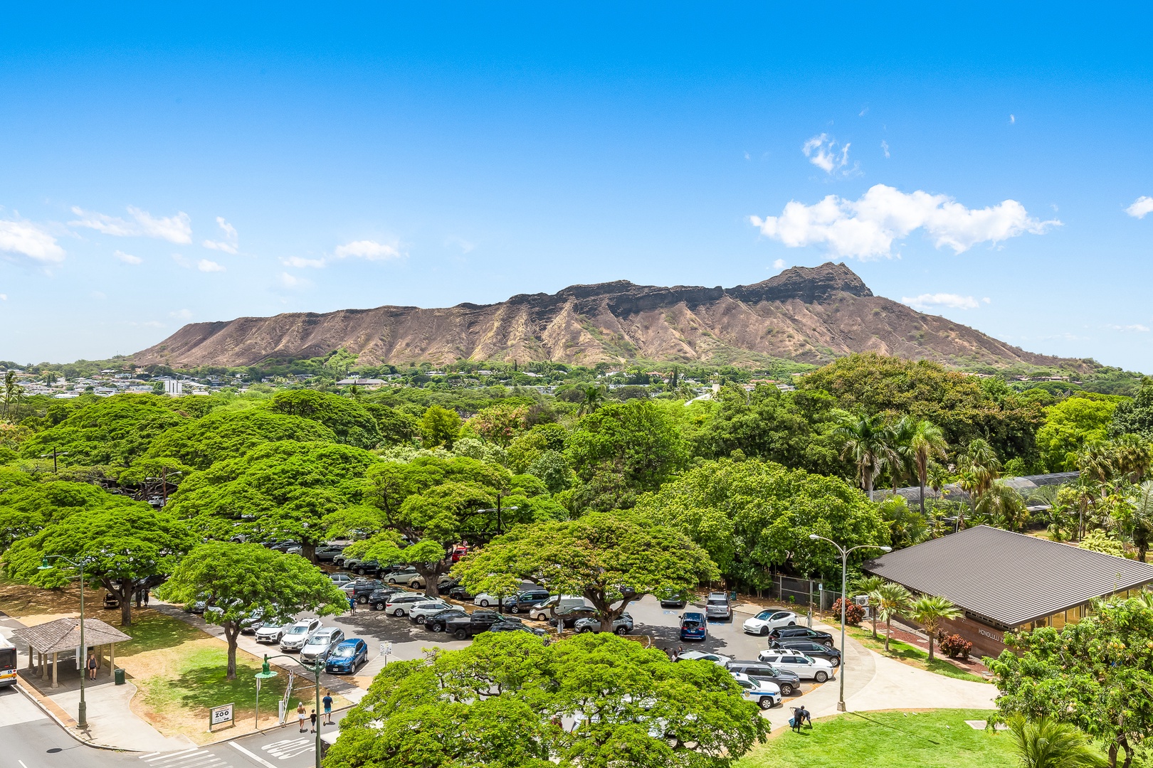 Iconic Diamond Head crater rises majestically beyond lush greenery and tropical trees, creating a stunning backdrop for this Honolulu neighborhood setting.