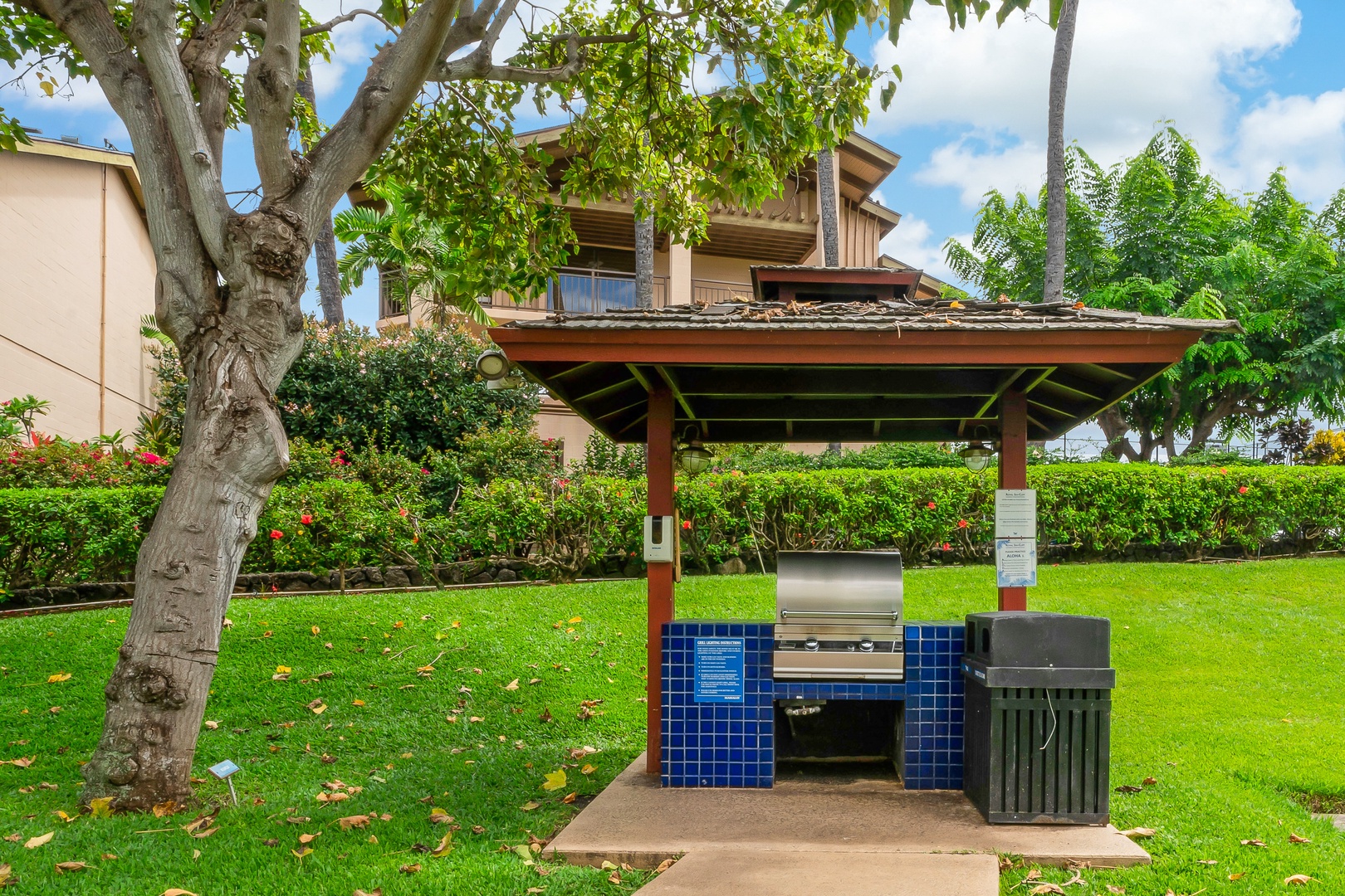 Castle at Royal Sea Cliff - BBQ Area