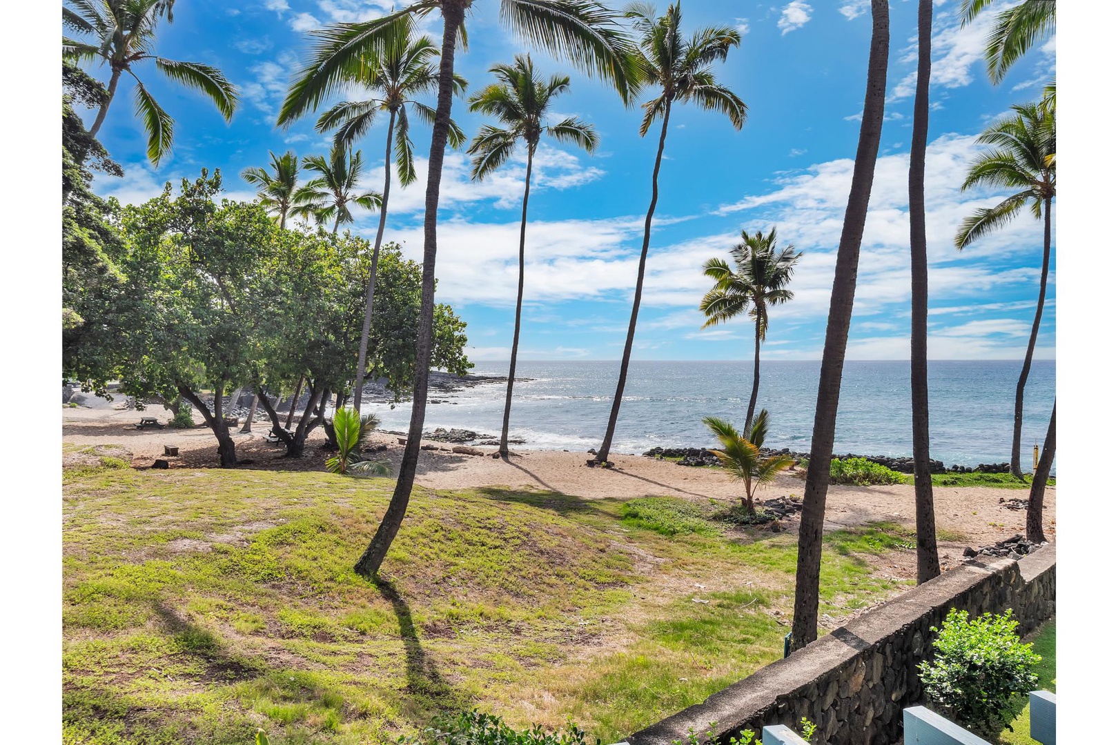 Tropical paradise with swaying palms and pristine beach creates an idyllic coastal setting surrounded by natural beauty.