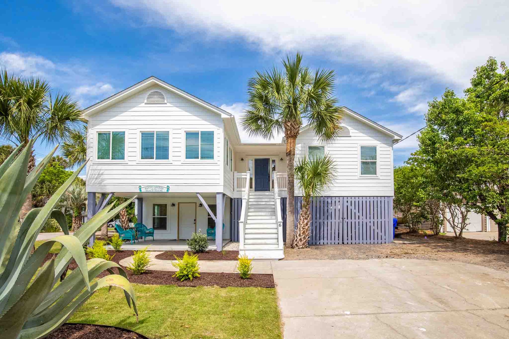 26th Ave 06 - Sandy Cheeks