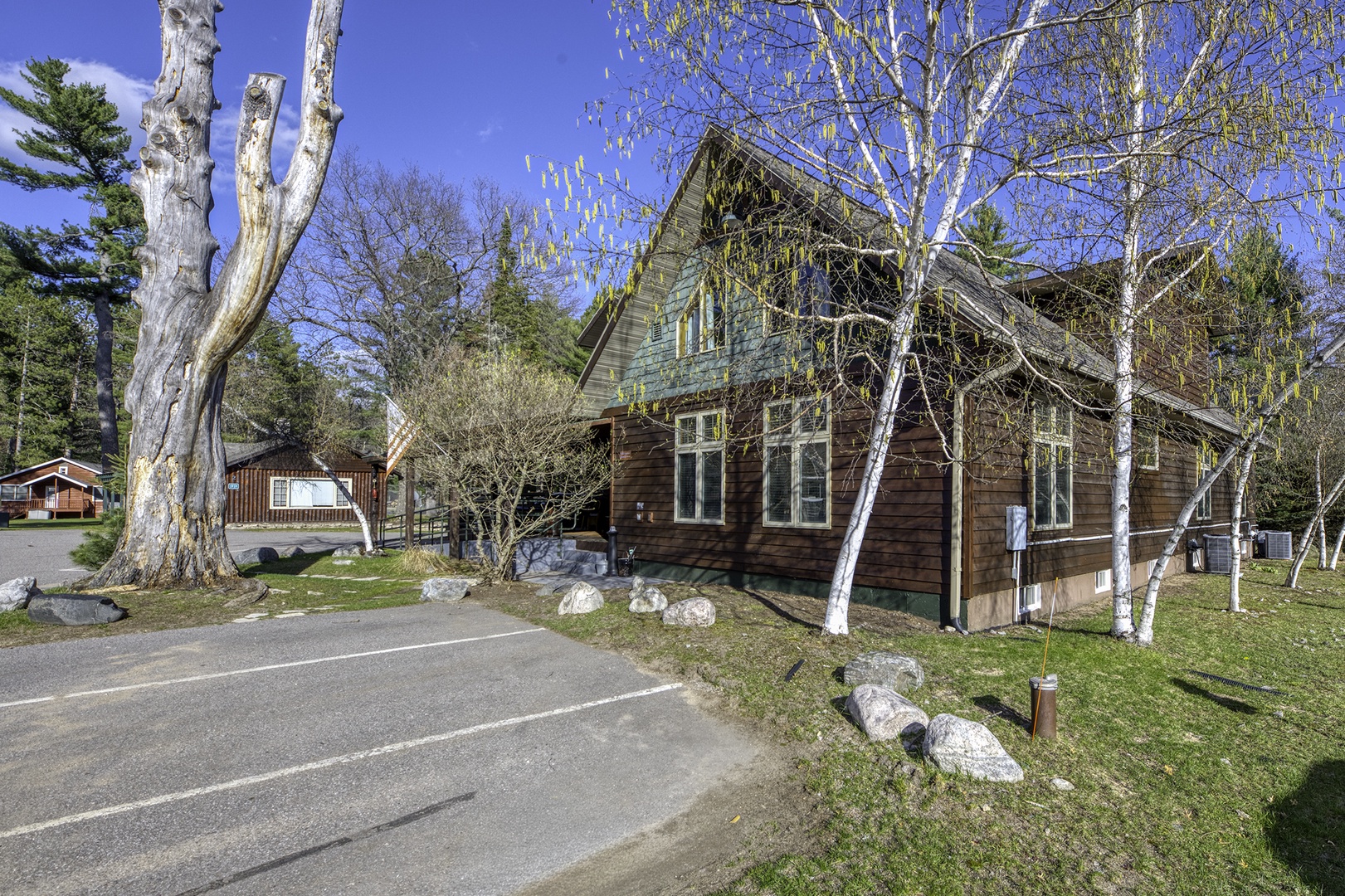 A charming A-frame cabin nestled among white birch trees and evergreens, set within a peaceful woodland property with on-site parking.