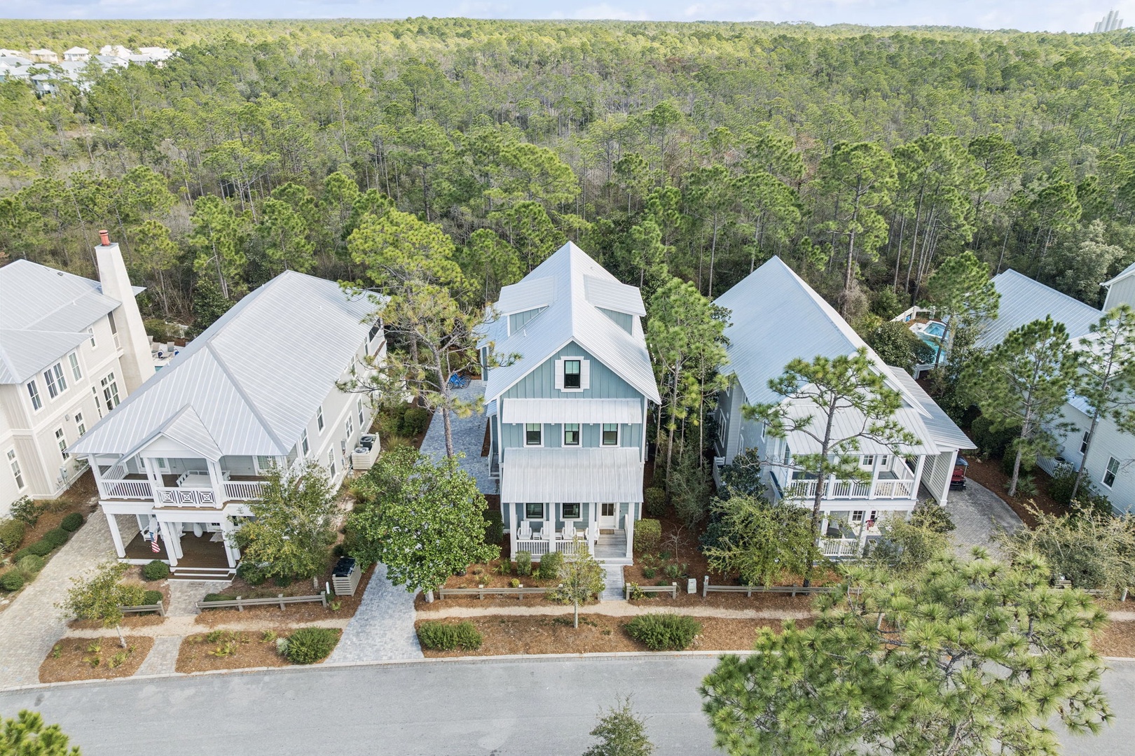 Aerial view of charming coastal homes nestled among lush forest canopy in a peaceful residential neighborhood.
