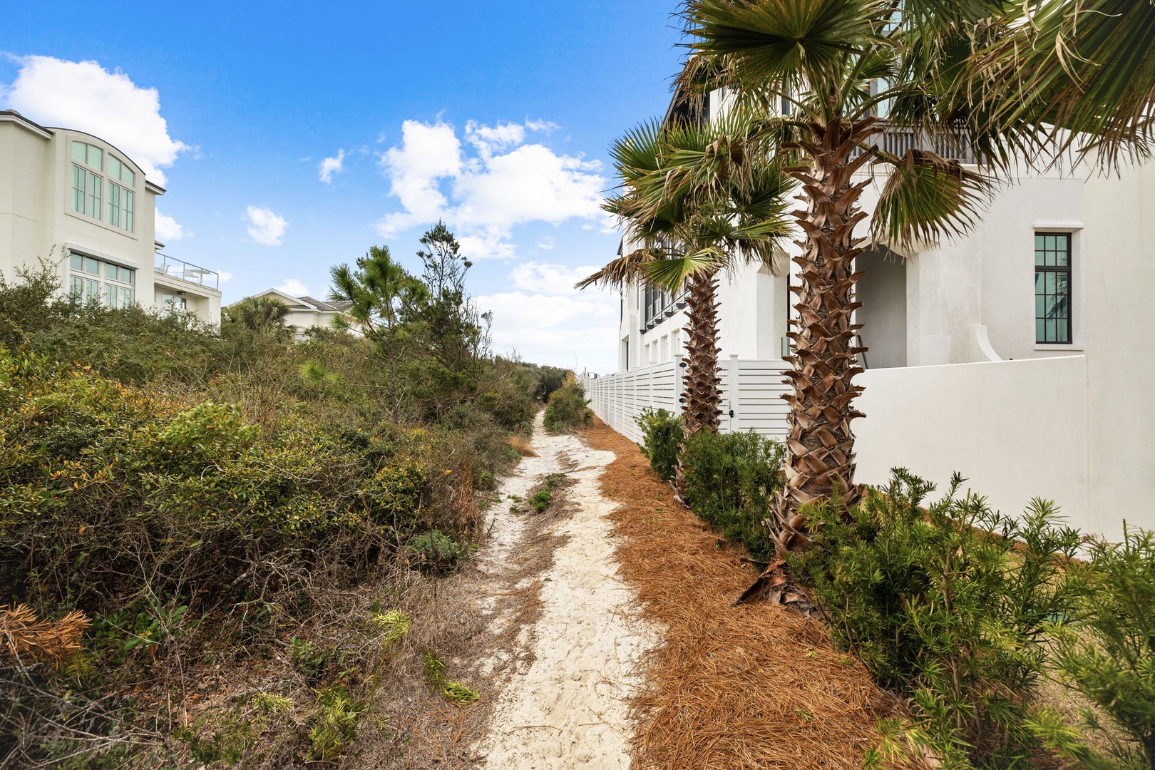 A sandy path winds past elegant white beach homes framed by swaying palms and coastal greenery, leading toward the shore under bright blue skies.