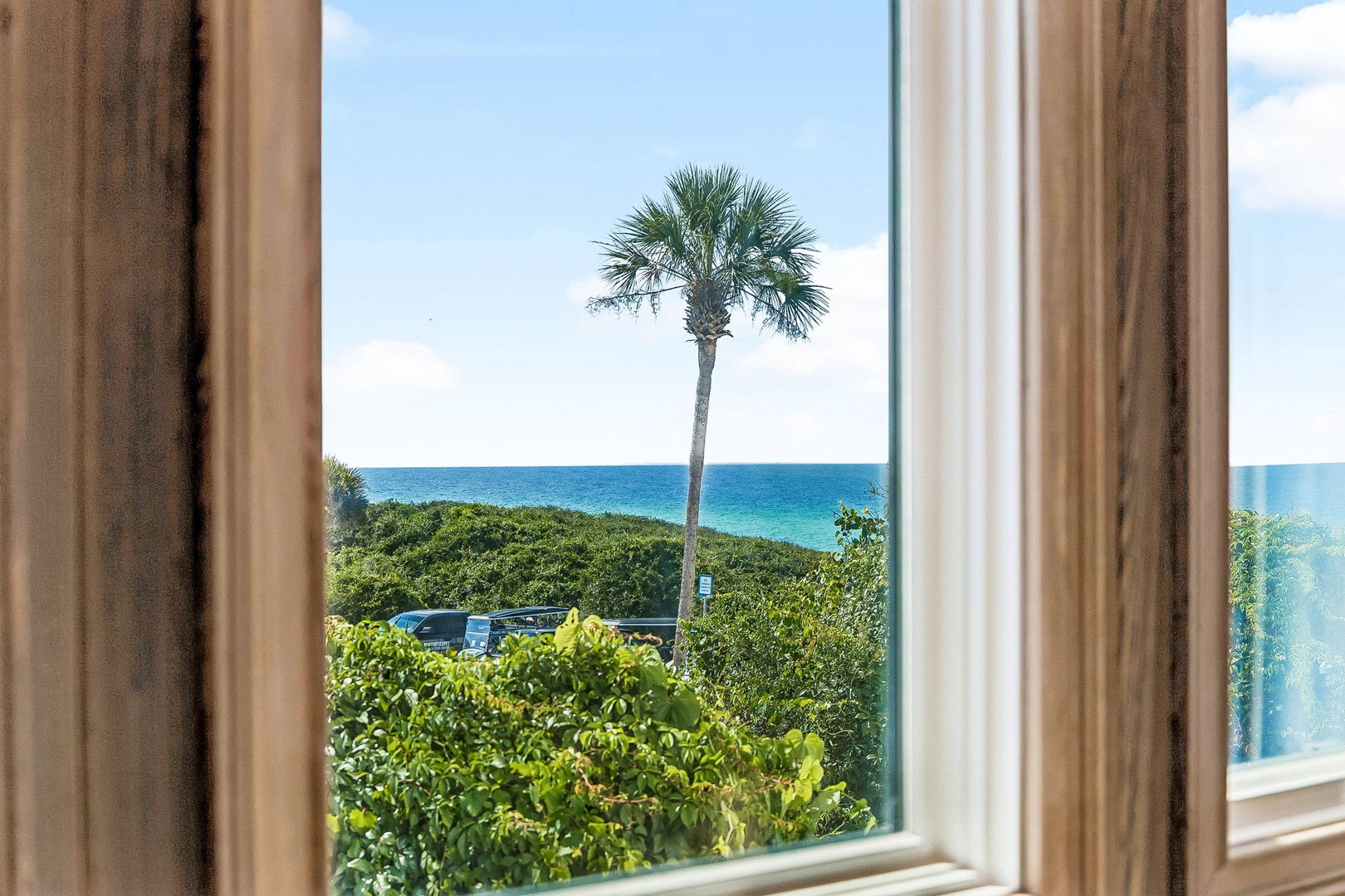 Your window frames a stunning tropical view with a towering palm, lush greenery, and the sparkling turquoise ocean beyond—a peaceful coastal escape awaits.
