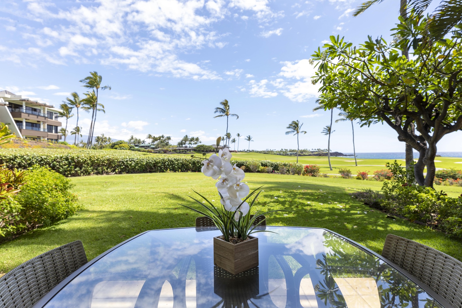 Kamuela Vacation Rentals, Mauna Lani Point E105 - Relax on your private lanai with a refreshing drink as you gaze toward the palm-lined ocean horizon.