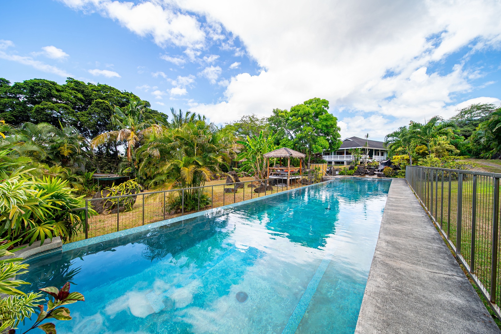 Haleiwa Vacation Rentals, North Shore Tropical Hale - Sparkling private lap-style pool surrounded by lush greenery—perfect for swimming laps or lounging under the island sun.