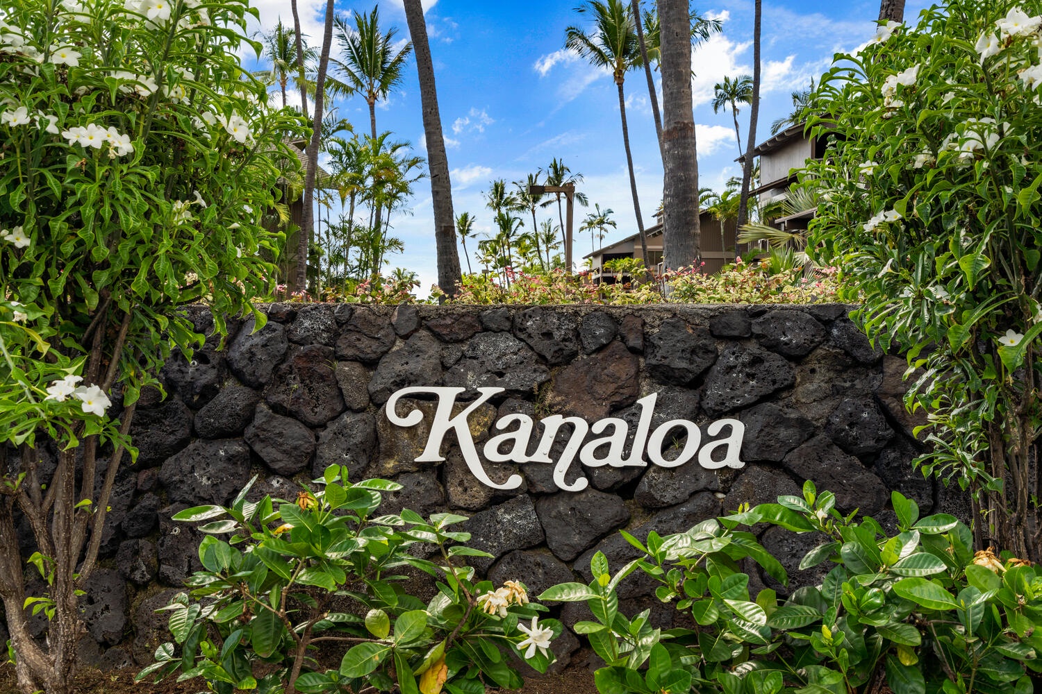 Kailua Kona Vacation Rentals, Kanaloa at Kona 3303 - Welcome to Kanaloa!