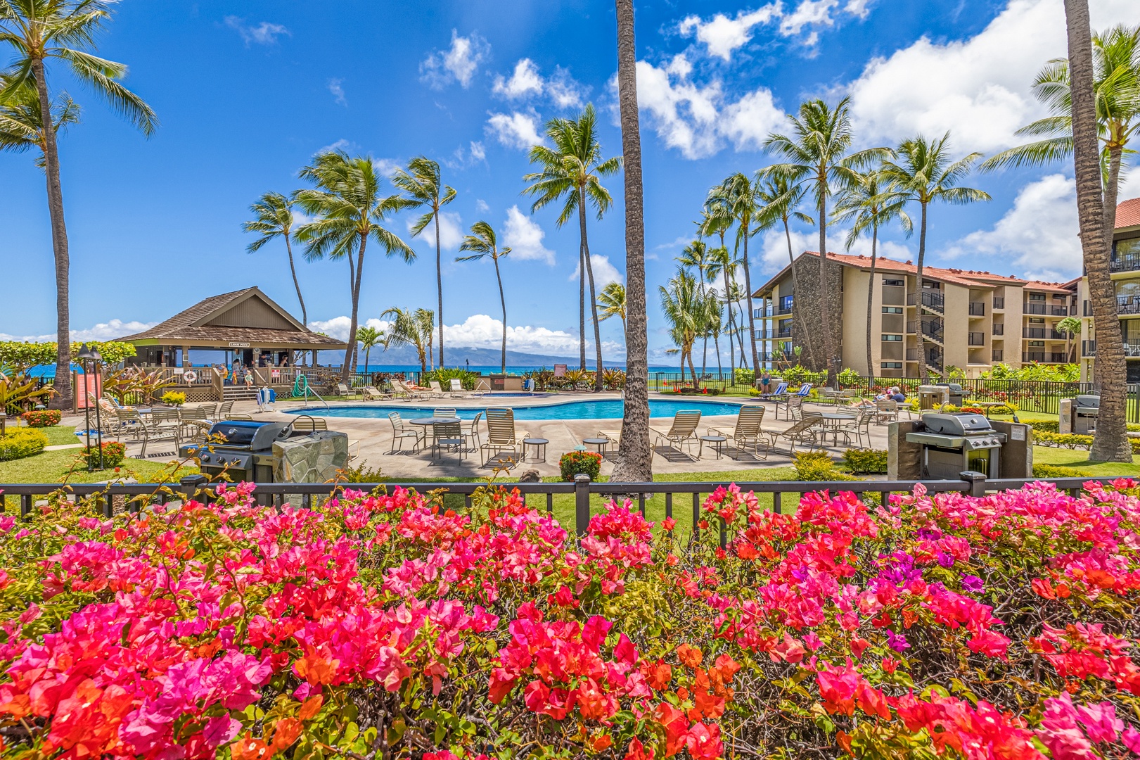 Lahaina Vacation Rentals, Papakea K-105 - Lush tropical blooms surround the pool at Papakea K-105 with the ocean shimmering just beyond.