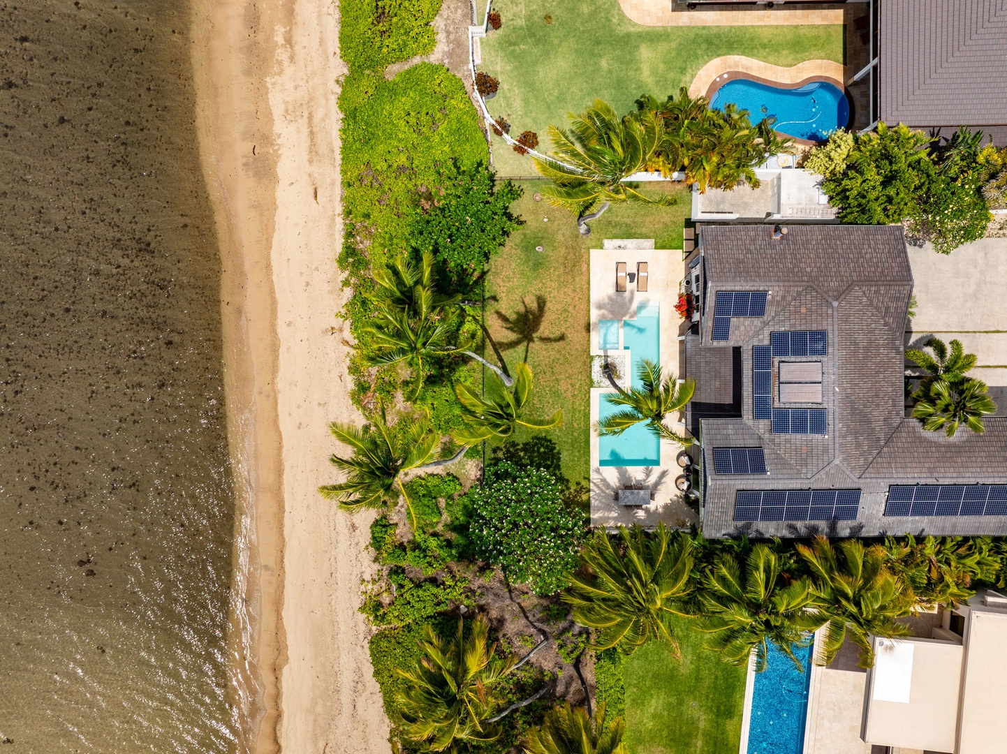 Honolulu Vacation Rentals, Paradise Beach Estate - This aerial shot captures the estate’s rare layout: oceanfront pool, lush grounds, and private access straight to the sand.