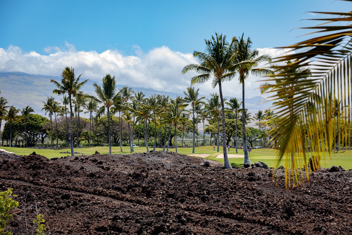 Kamuela Vacation Rentals, Laule'a at the Mauna Lani Resort #11 - Trees to complete the island feels
