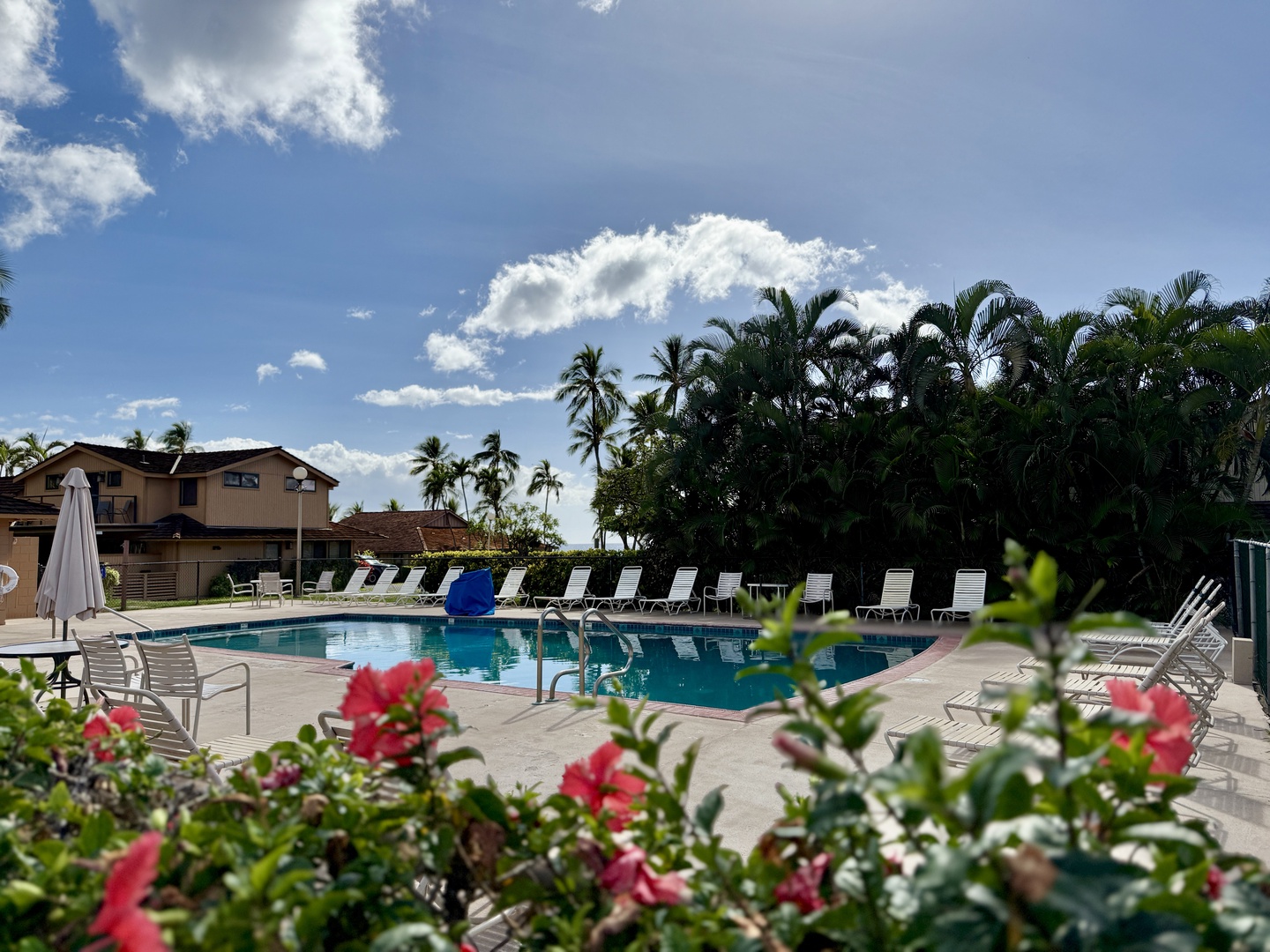 Lahaina Vacation Rentals, Puamana 254-2 - Poolside seating area with tropical flowers and a welcoming atmosphere for sunny days.