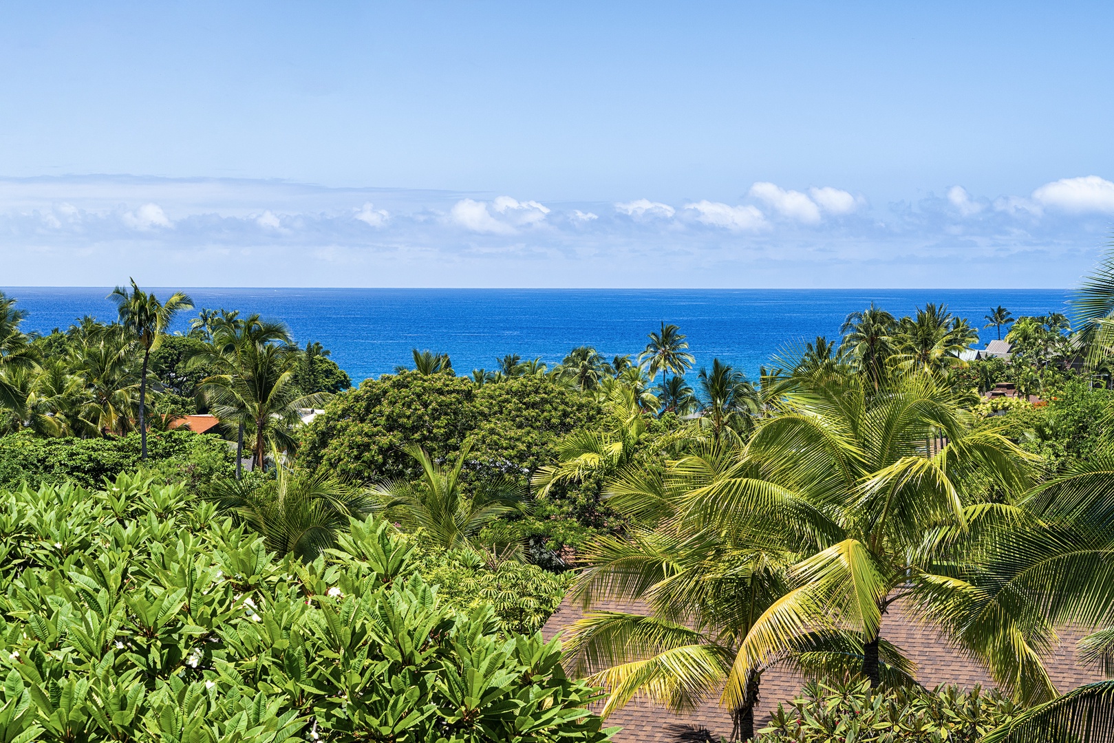 Kailua Kona Vacation Rentals, Keauhou Resort 113 - Gorgeous coastline views as far as the eye can see!