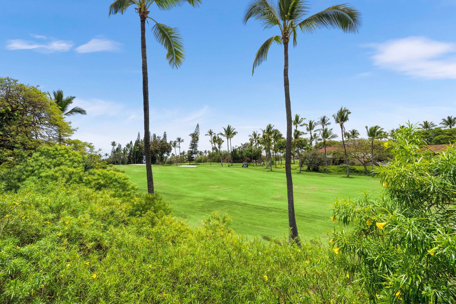 Kailua Kona Vacation Rentals, Manukai Hale - Tall palms frame the golf course green stretching past the yard.