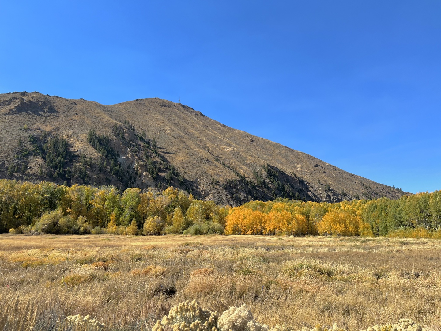 Hailey Vacation Rentals, Contemporary Red Feather Comfort - More nature
