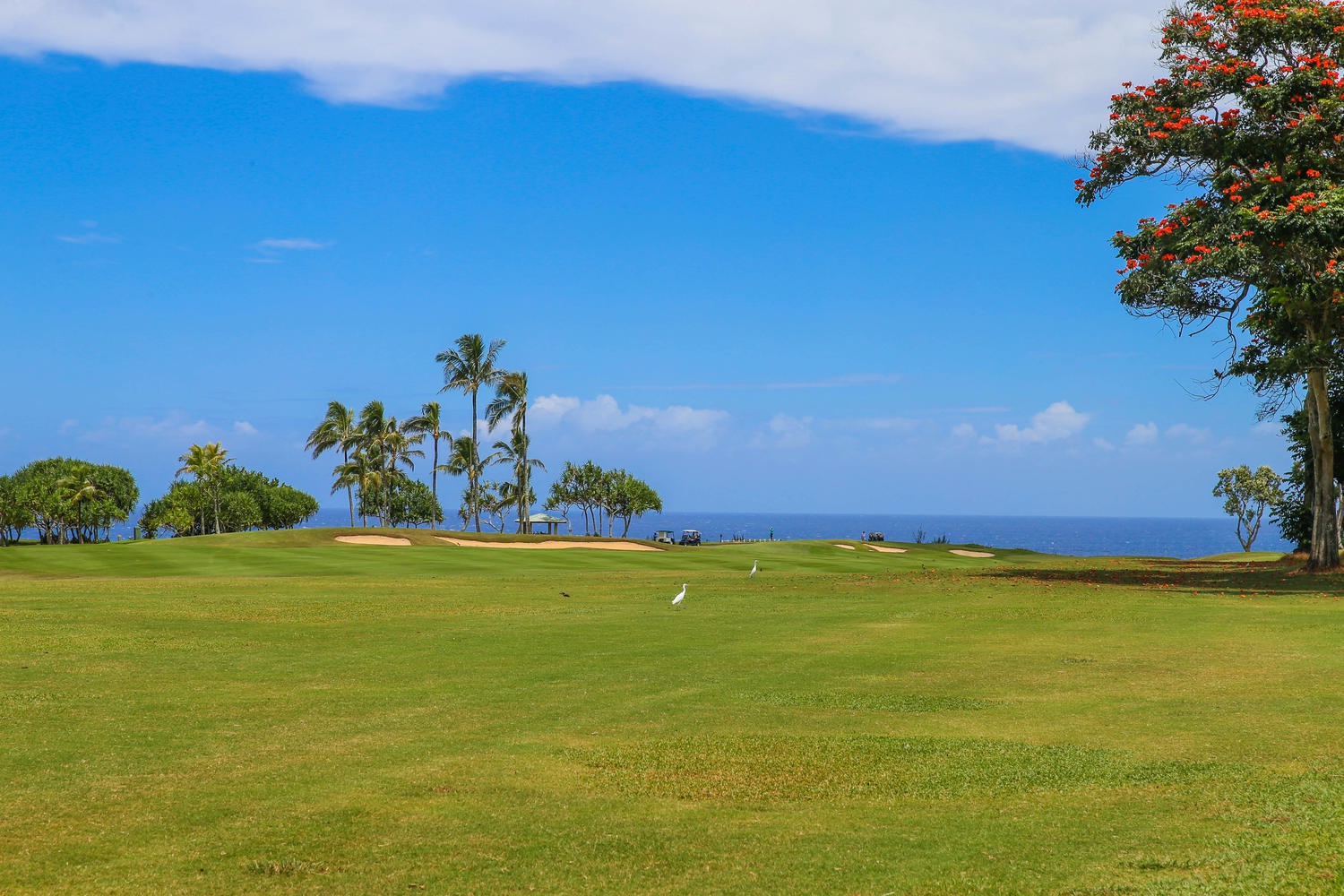 Princeville Vacation Rentals, Half Moon Hana - Sweeping Fairway Views