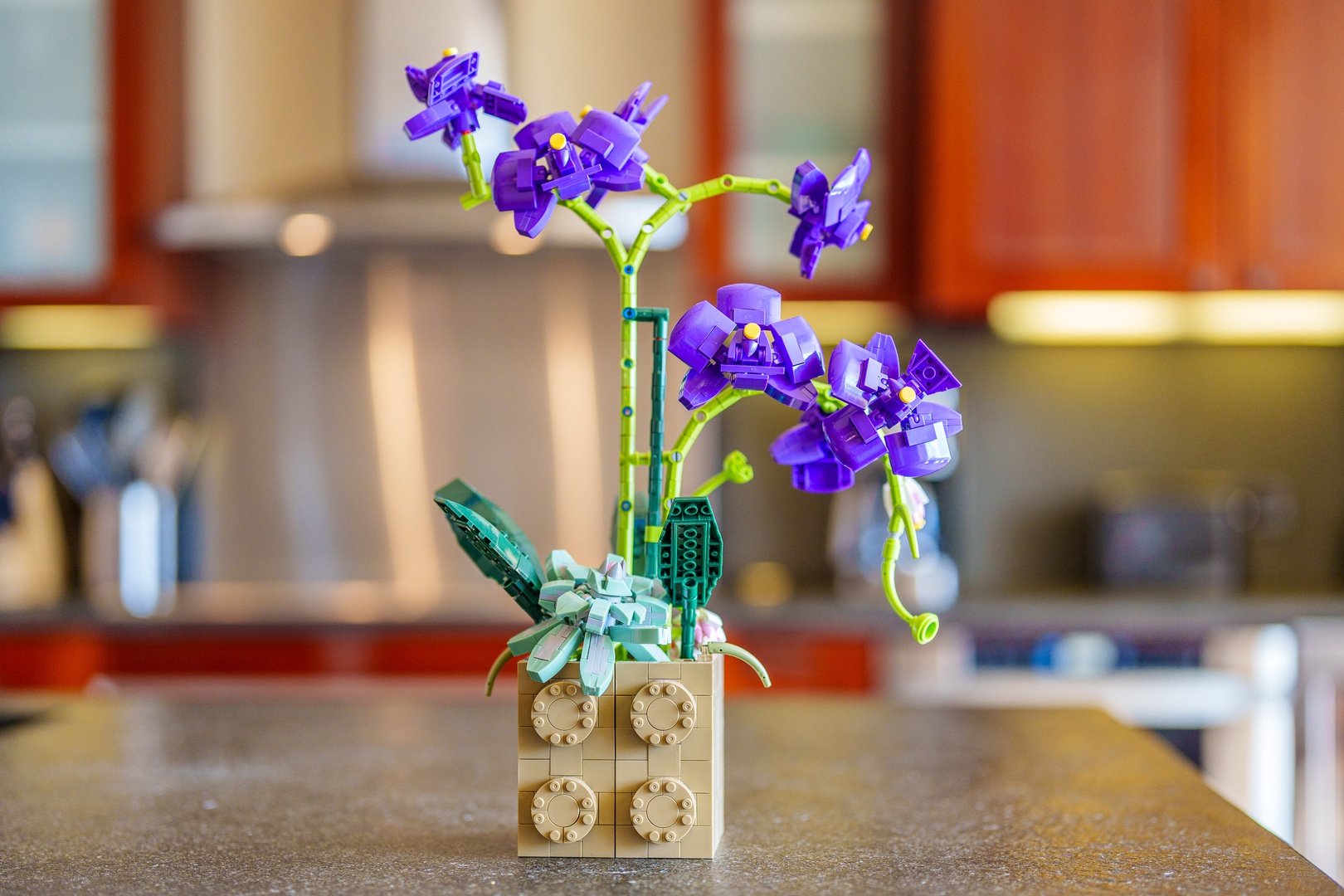 Kapolei Vacation Rentals, Ko Olina Beach Villas O904 - Hawaiian whimsey in the kitchen.