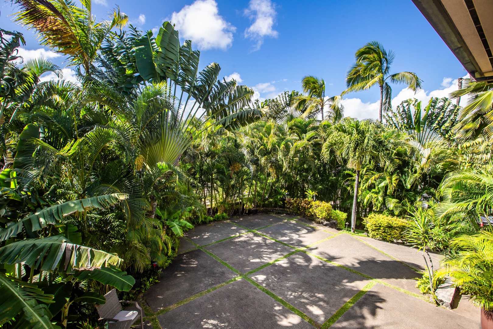 Honolulu Vacation Rentals, Pili Pono - Driveway framed by lush tropical foliage and privacy walls.