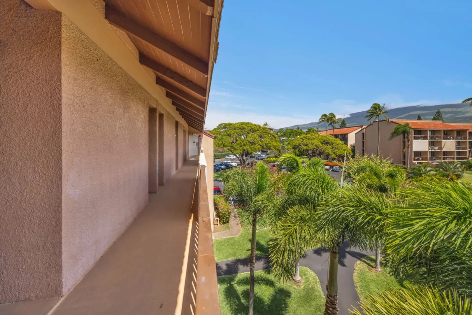 Kihei Vacation Rentals, Maui Vista 2420 - Palms and green mountain slopes rise beyond the walkway, the Maui backdrop you booked for.